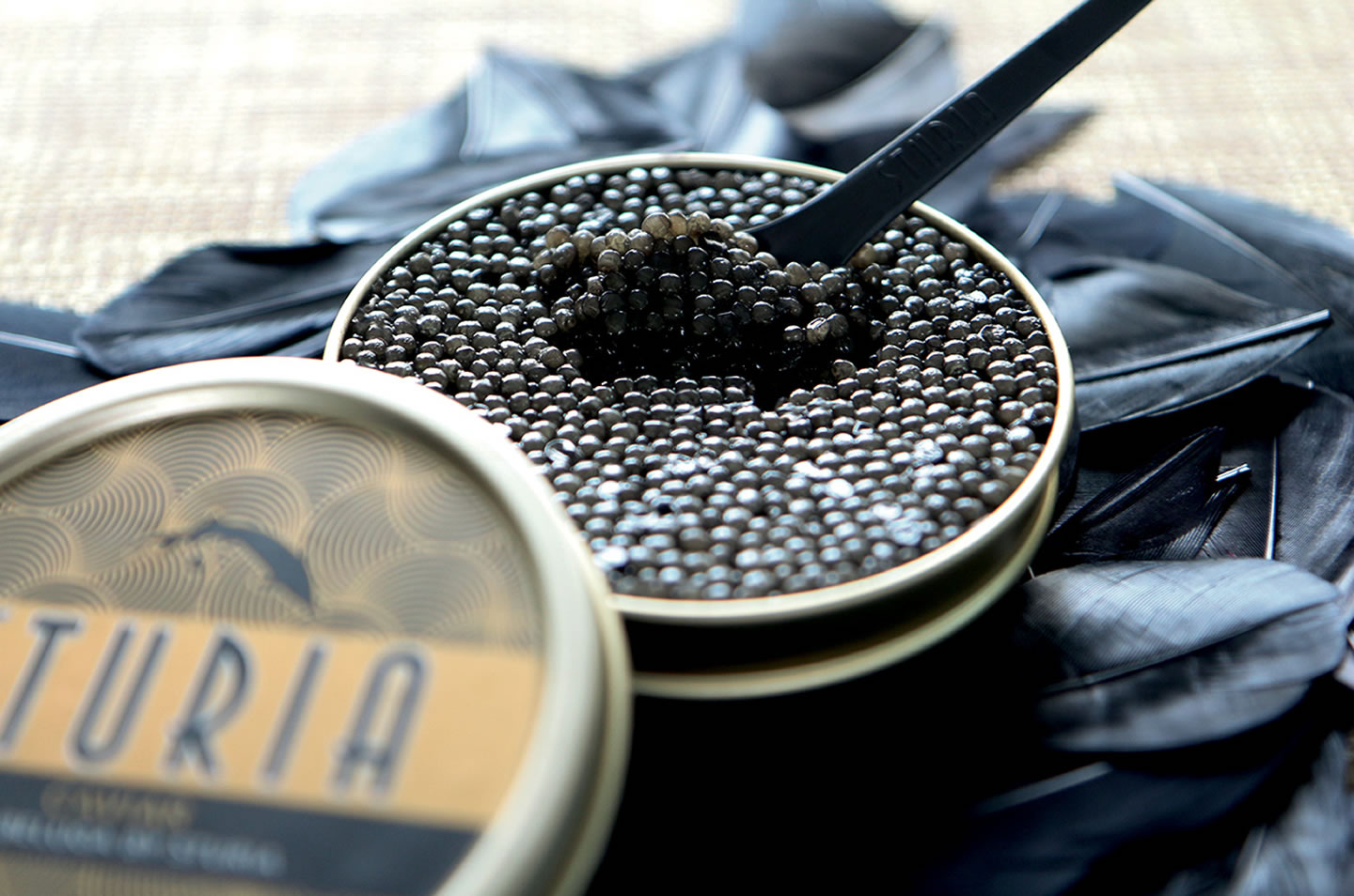 Caviar перевод. Черная икра Caviar Белуга. Посуда для черной икры. Цвет черной икры. Черная икра красивые фото.